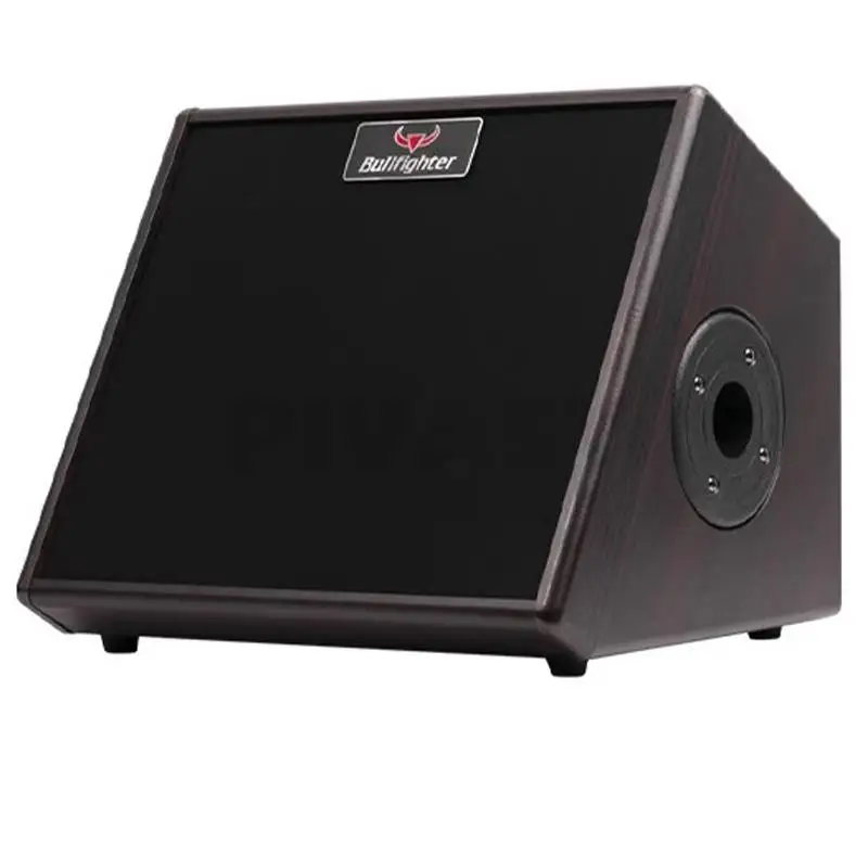 8-inch High Fidelity Rechargeable Acoustic Guitar Amplifier Speaker 30W