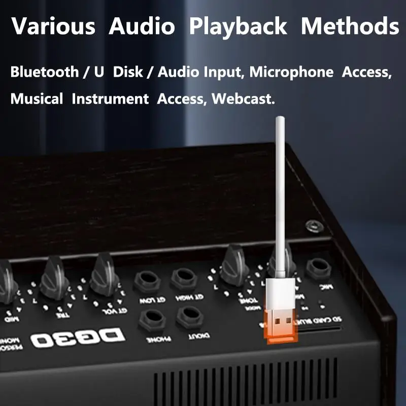 8-inch High Fidelity Rechargeable Acoustic Guitar Amplifier Speaker 30W - Image 5